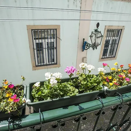 Local In Alfama! Alice Home, Near River *